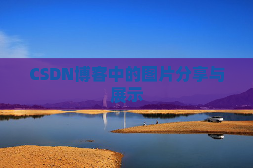 CSDN博客中的图片分享与展示